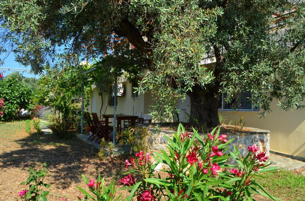 Villas Zoe Ksanemos Buitenkant foto
