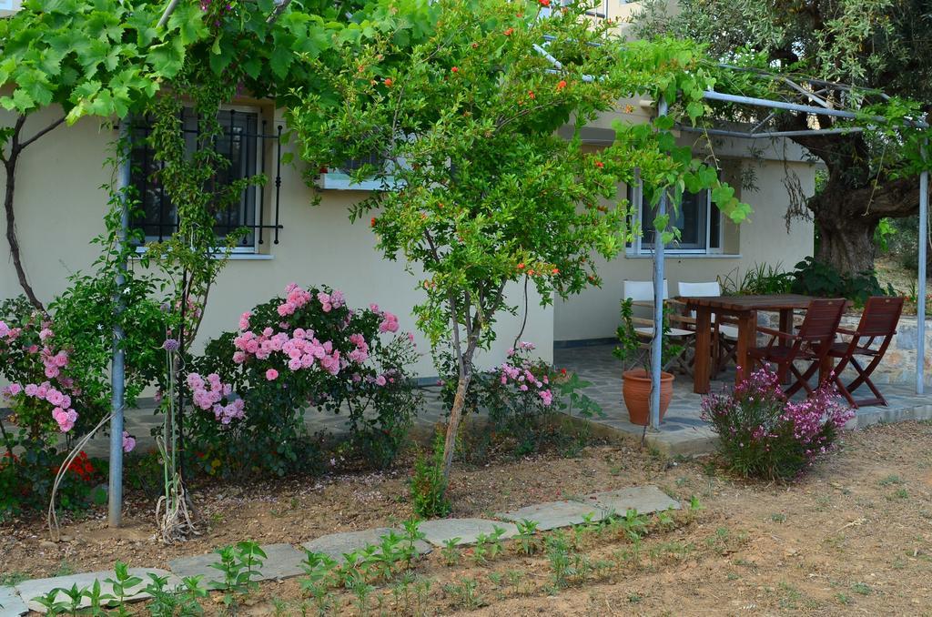 Villas Zoe Ksanemos Buitenkant foto