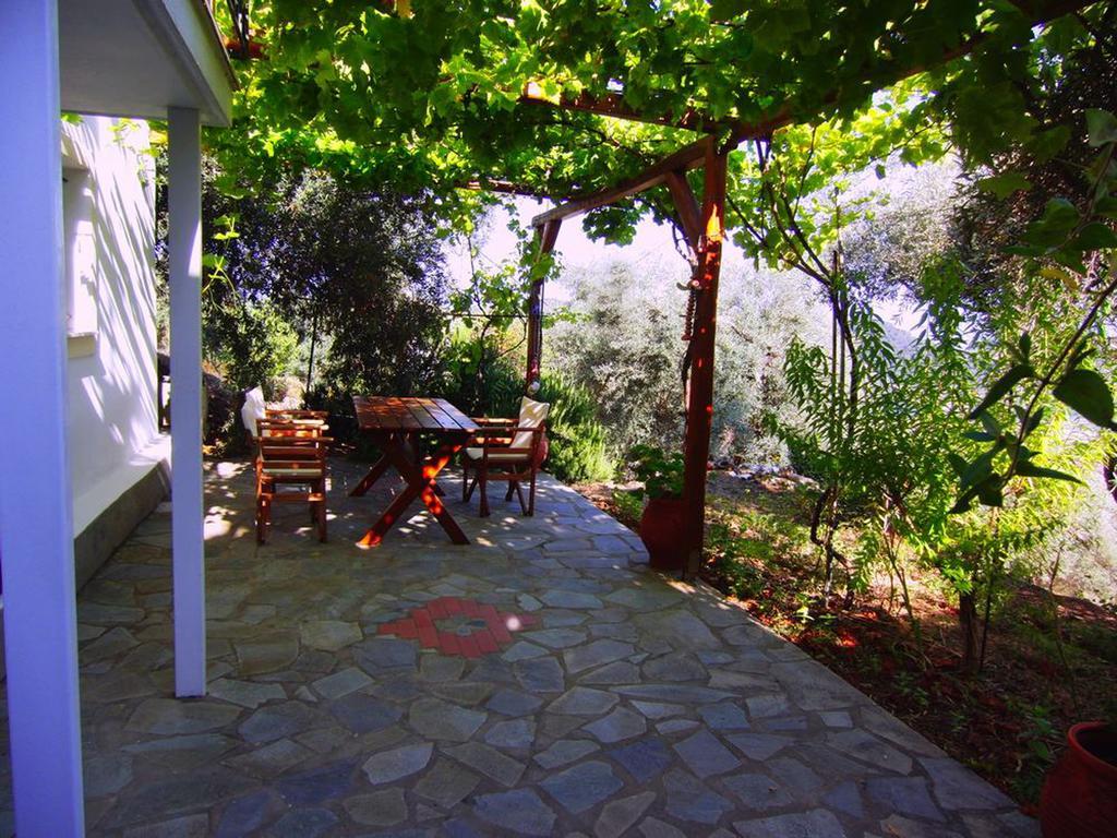 Villas Zoe Ksanemos Buitenkant foto